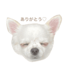 おおば家のぐりくん♂（個別スタンプ：11）