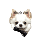 おおば家のぐりくん♂（個別スタンプ：13）