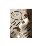 ジャックの日常 C（個別スタンプ：5）