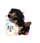 エルモ君の日常（個別スタンプ：6）