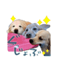 N家のさんにん（個別スタンプ：4）