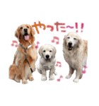 N家のさんにん（個別スタンプ：6）