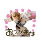 N家のさんにん（個別スタンプ：14）
