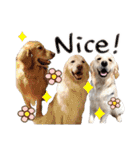 N家のさんにん（個別スタンプ：21）