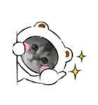 むーちゃん壱（個別スタンプ：3）