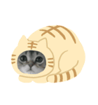 むーちゃん壱（個別スタンプ：6）
