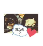 初スター2（個別スタンプ：6）