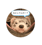 にょろりんぼーぼ（個別スタンプ：5）