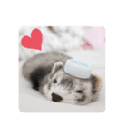 にょろりんぼーぼ（個別スタンプ：12）