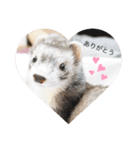にょろりんぼーぼ（個別スタンプ：13）