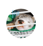 にょろりんぼーぼ（個別スタンプ：16）