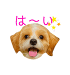 どんぐりまなこのなつお君（個別スタンプ：2）