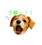 どんぐりまなこのなつお君（個別スタンプ：3）