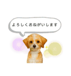 どんぐりまなこのなつお君（個別スタンプ：4）