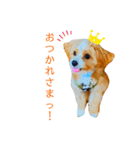 どんぐりまなこのなつお君（個別スタンプ：5）