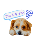 どんぐりまなこのなつお君（個別スタンプ：6）
