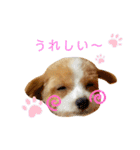 どんぐりまなこのなつお君（個別スタンプ：7）