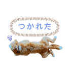 どんぐりまなこのなつお君（個別スタンプ：9）