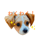どんぐりまなこのなつお君（個別スタンプ：11）