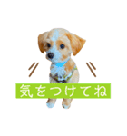 どんぐりまなこのなつお君（個別スタンプ：13）