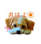 どんぐりまなこのなつお君（個別スタンプ：14）