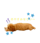 どんぐりまなこのなつお君（個別スタンプ：15）