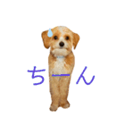どんぐりまなこのなつお君（個別スタンプ：18）