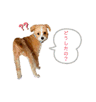 どんぐりまなこのなつお君（個別スタンプ：20）