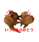 ふりかけちゃん日常使いスタンプ（個別スタンプ：2）