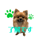 ふりかけちゃん日常使いスタンプ（個別スタンプ：3）