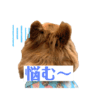 ふりかけちゃん日常使いスタンプ（個別スタンプ：6）