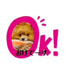 ふりかけちゃん日常使いスタンプ（個別スタンプ：7）