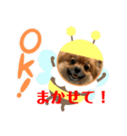 ふりかけちゃん日常使いスタンプ（個別スタンプ：8）
