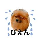 ふりかけちゃん日常使いスタンプ（個別スタンプ：9）