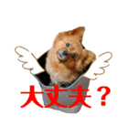 ふりかけちゃん日常使いスタンプ（個別スタンプ：14）