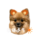ふりかけちゃん日常使いスタンプ1（個別スタンプ：3）