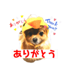 ふりかけちゃん日常使いスタンプ1（個別スタンプ：4）