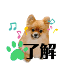 ふりかけちゃん日常使いスタンプ1（個別スタンプ：7）