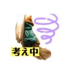 ふりかけちゃん日常使いスタンプ1（個別スタンプ：12）