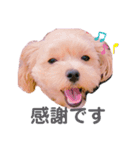 くれたんの日本語＆英語日常スタンプ（個別スタンプ：10）