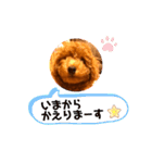 癒しのプーちゃんスタンプ⑴（個別スタンプ：9）