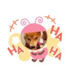 私はiDOL（個別スタンプ：12）