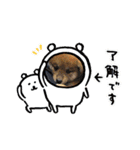 私はiDOL（個別スタンプ：13）