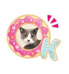 ニャンニャンメッセージ（個別スタンプ：1）