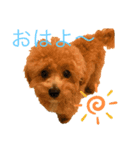 マルぷっぷ2（個別スタンプ：5）