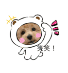 マルぷっぷ2（個別スタンプ：7）