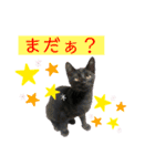 ナルガ＆ベリオ（個別スタンプ：3）
