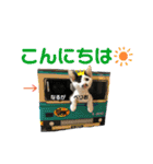 ナルガ＆ベリオ（個別スタンプ：7）