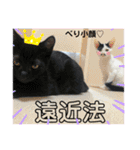 ナルガ＆ベリオ（個別スタンプ：10）