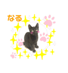 ナルガ＆ベリオ（個別スタンプ：11）